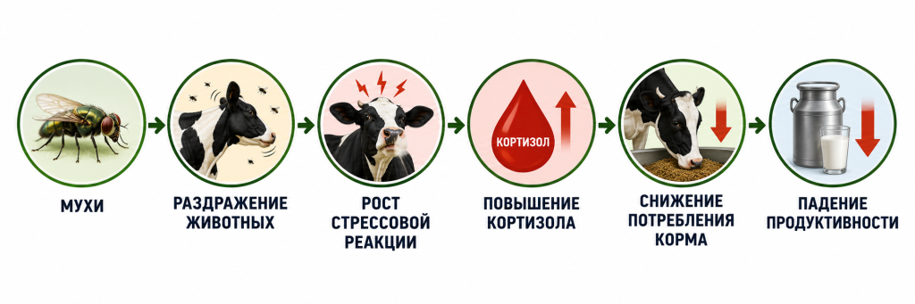 Цепочка стрессовых реакций от насекомых.png