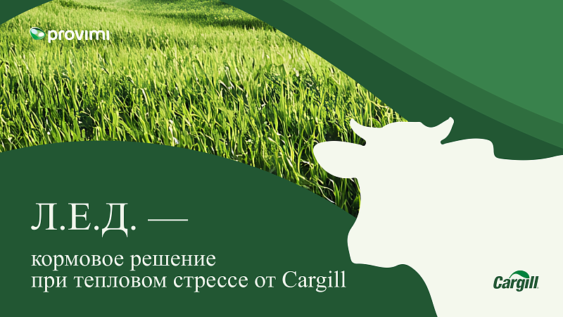 Л.Е.Д. - кормовое решение при тепловом стрессе от Cargill