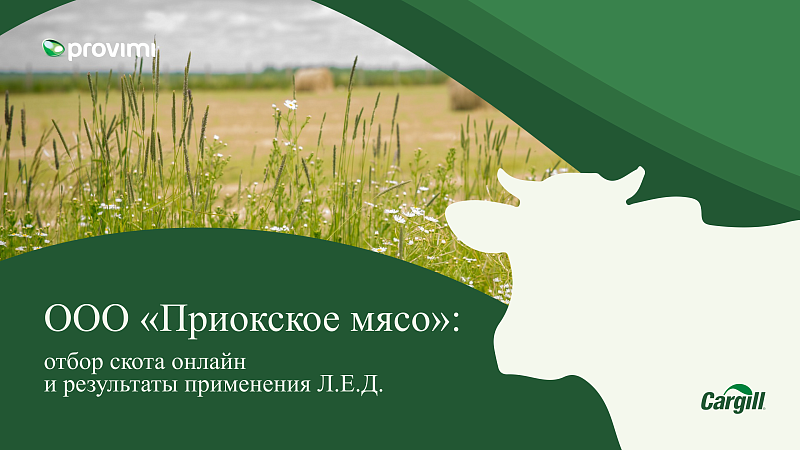 ООО «Приокское мясо»: отбор скота онлайн и результаты применения Л.Е.Д.