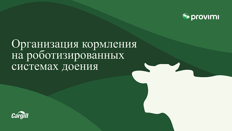 Организация кормления на роботизированных системах доения