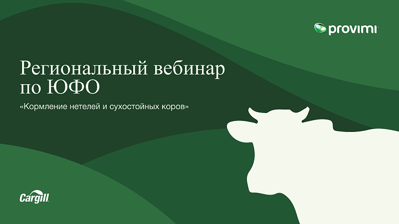 Региональный вебинар по ЮФО «Кормление нетелей и сухостойных коров»