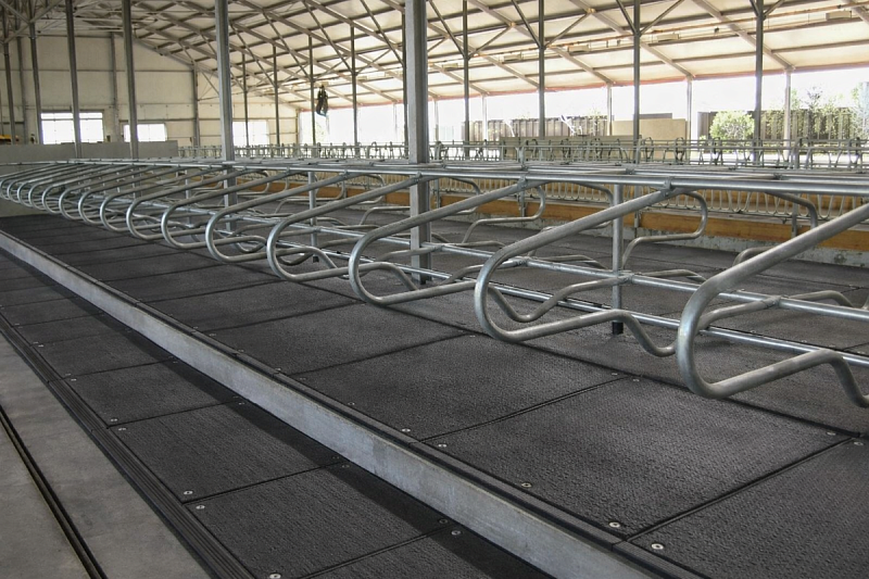 Для чего нужно резиновое покрытые в коровнике?