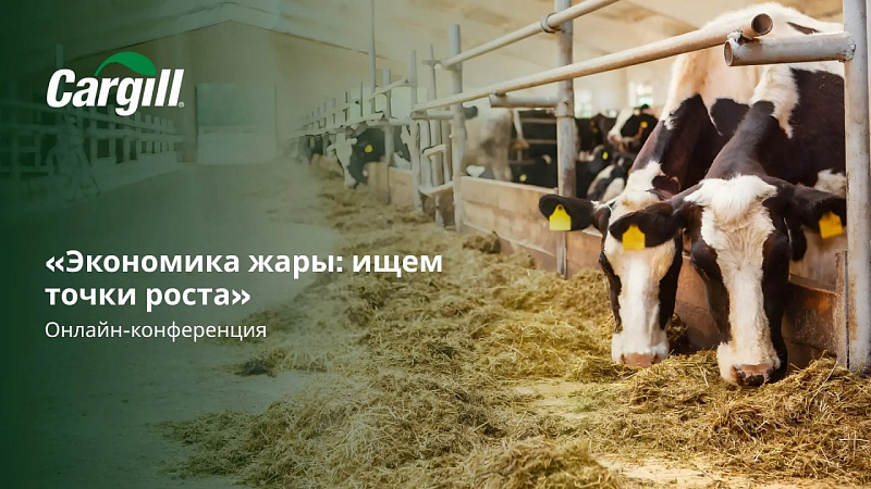 Экономика жары: ищем точки роста