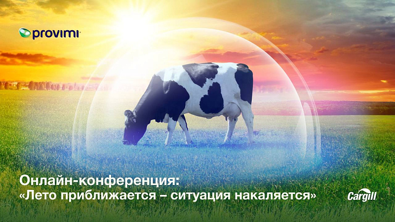 Лето приближается - ситуация накаляется